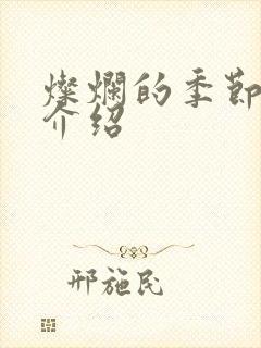 灿烂的季节剧情介绍