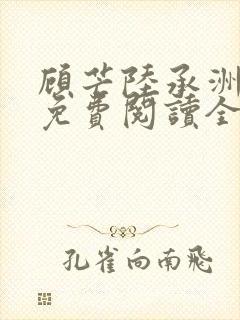 顾芒陆承洲小说免费阅读全文免费阅读下载封面