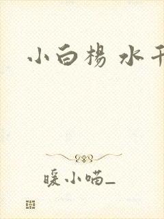 小白杨 水千丞