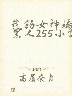我的女神娇妻与黑人255小说封面