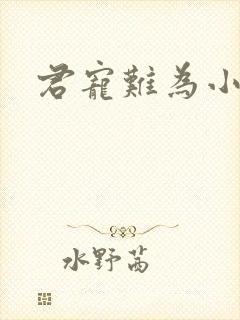 君宠难为小说