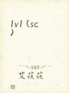 1v1 (sc)