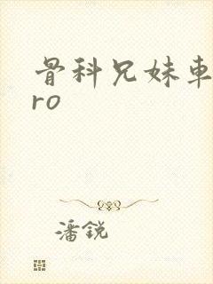 骨科兄妹车多pro