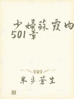 少妇苏霞肉欲第501章