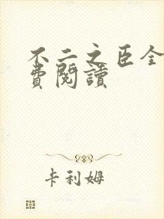 不二之臣全文免费阅读封面