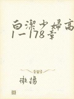 白洁少妇高义第1一178章封面