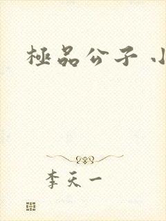 极品公子 小说