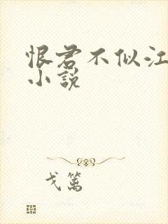 恨君不似江楼月小说