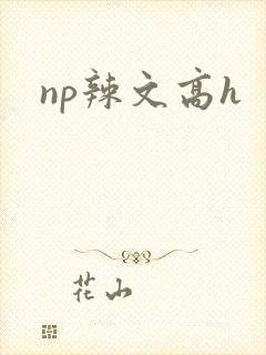 np辣文高h