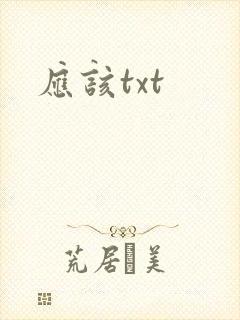 应该txt封面