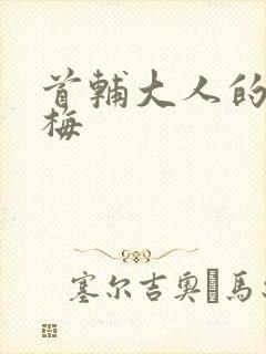 首辅大人的小青梅