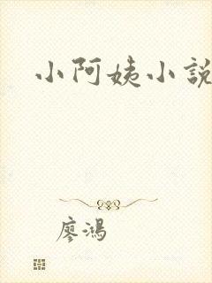 小阿姨小说封面