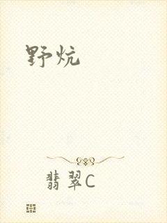 野炕封面