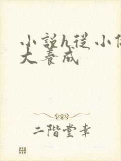 小说h从小做到大养成