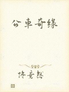 公车奇缘
