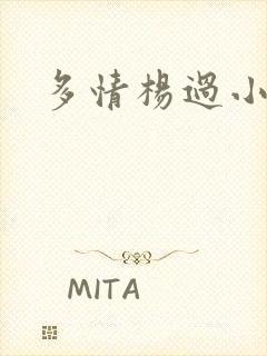 多情杨过小说