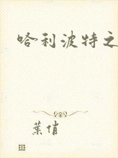 哈利波特之守护封面