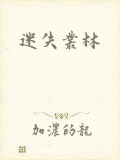 迷失丛林封面
