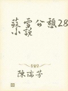苏雪公憩28篇小说