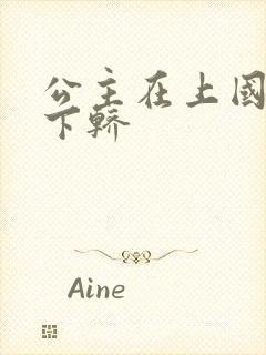 公主在上国师请下轿封面
