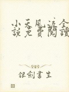 小天风流全集小说免费阅读封面