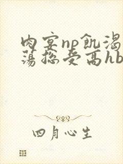 肉宴np饥渴放荡总受高hbl