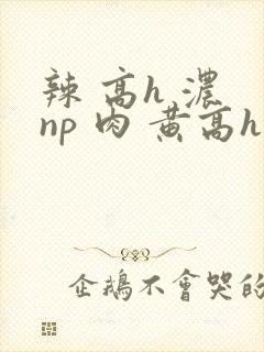 辣 高h 浓 np 肉 黄高h