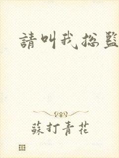 请叫我总监小说