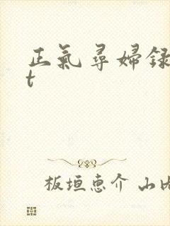 正气寻妇录txt
