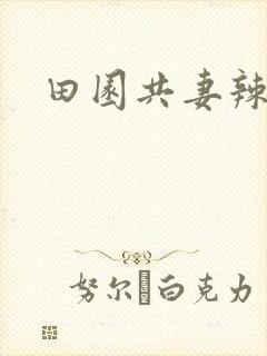 田园共妻辣
