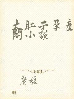 大肚子孕产笔趣阁小说封面