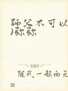 师父不可以(限)弥弥封面