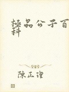 极品公子百度百科