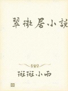 翠微居小说封面