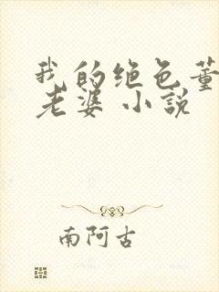 我的绝色董事长老婆 小说封面