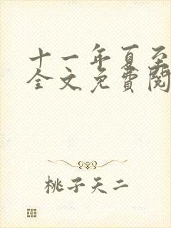 十一年夏至小说全文免费阅读封面