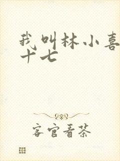 我叫林小喜今年十七封面