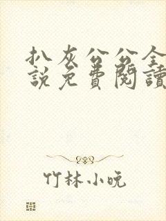 扒灰公公全部小说免费阅读全文