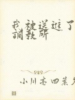 我被送进了私奴调教所