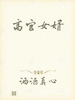 高官女婿