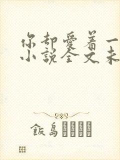 你却爱着一个他小说全文未删减免费