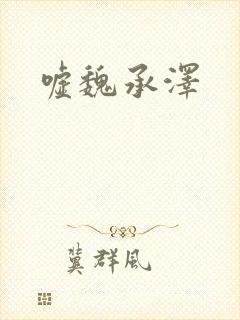 嘘魏承泽封面