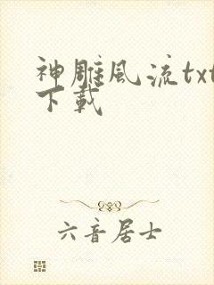 神雕风流txt下载