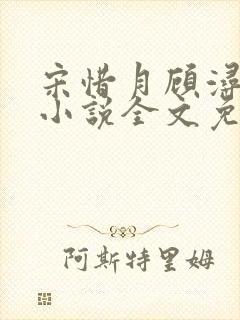 宋惜月顾浔渊的小说全文免费阅读