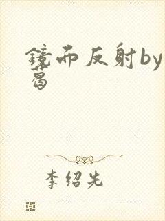 镜面反射by九葛封面