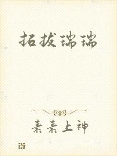 拓拔瑞瑞
