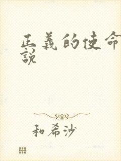正义的使命 小说