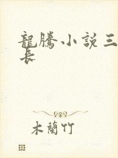 龙腾小说三宝局长封面
