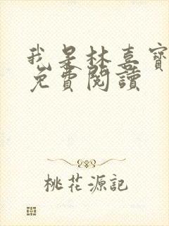 我是林喜宝小说免费阅读