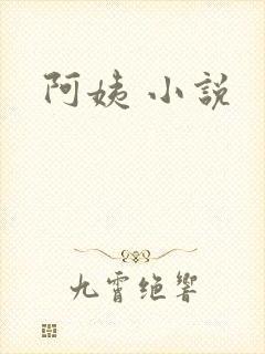 阿姨 小说